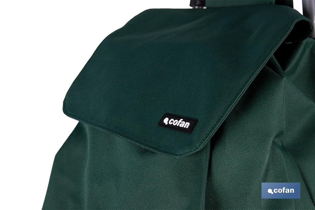 CARRO DE LA COMPRA VERDE PLEGABLE DE HIERRO CON 6 RUEDAS SUBE ESCALERAS 42 L