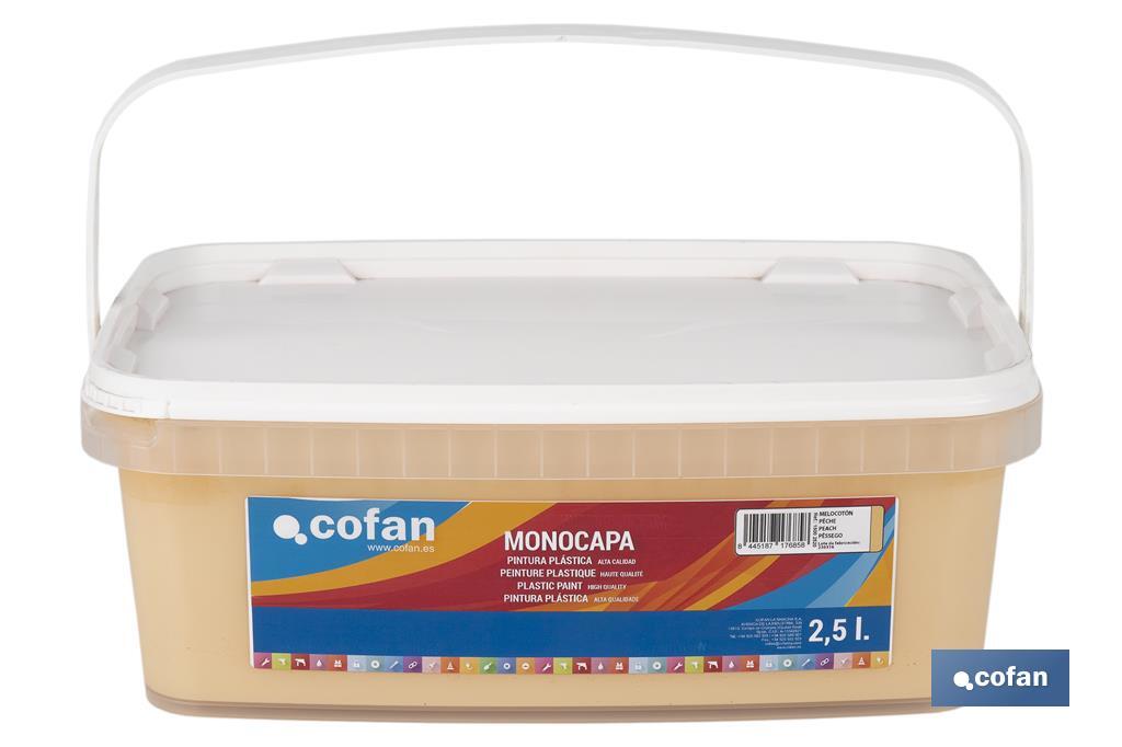 PINTURA PLÁSTICA MONOCAPA "Melocoton" (2,5 LT)