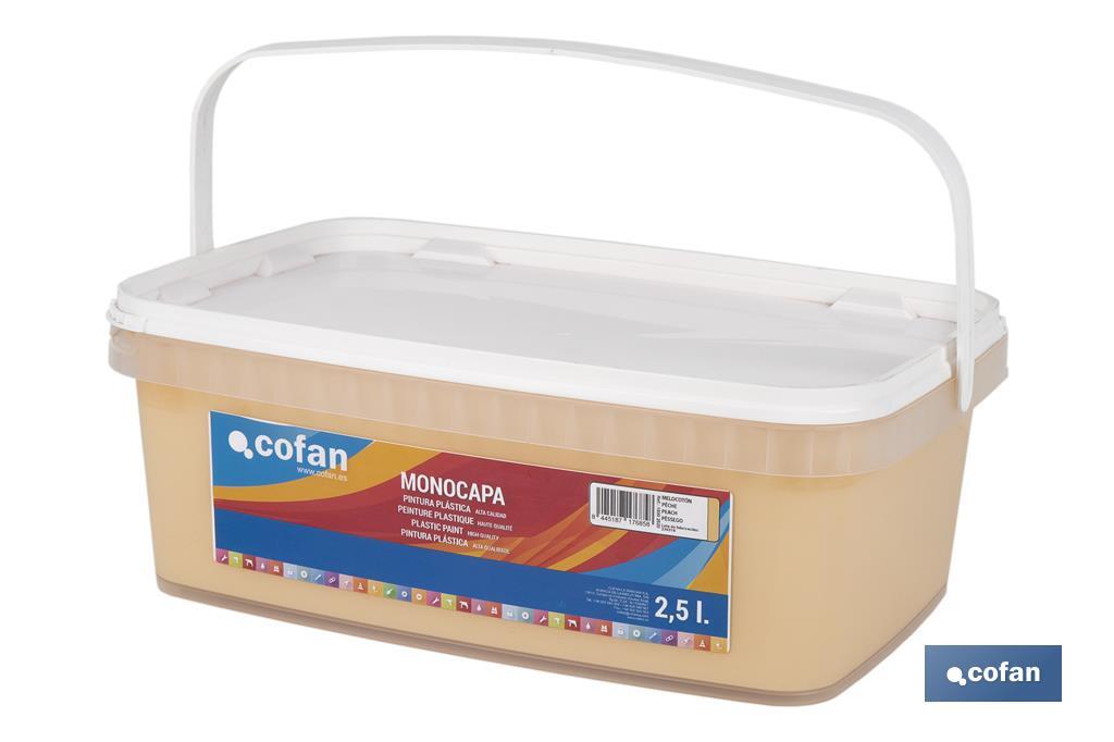 PINTURA PLÁSTICA MONOCAPA "Melocoton" (2,5 LT)
