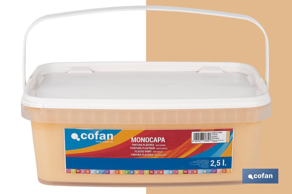 PINTURA PLÁSTICA MONOCAPA "Melocoton" (2,5 LT)
