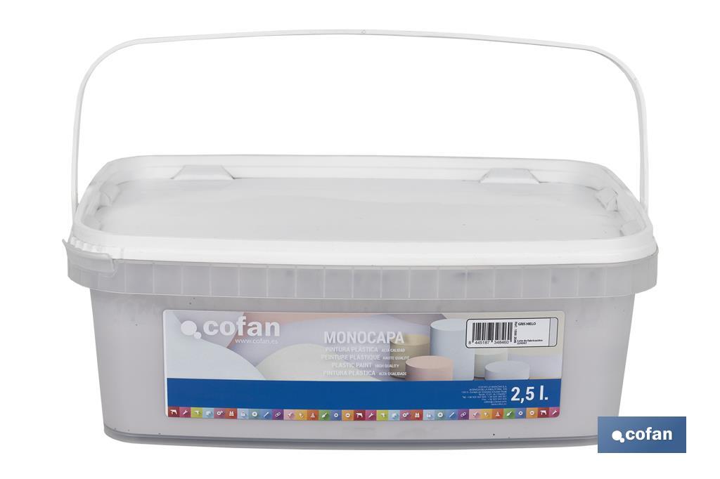 PINTURA PLÁSTICA MONOCAPA GRIS HIELO 2,5 L