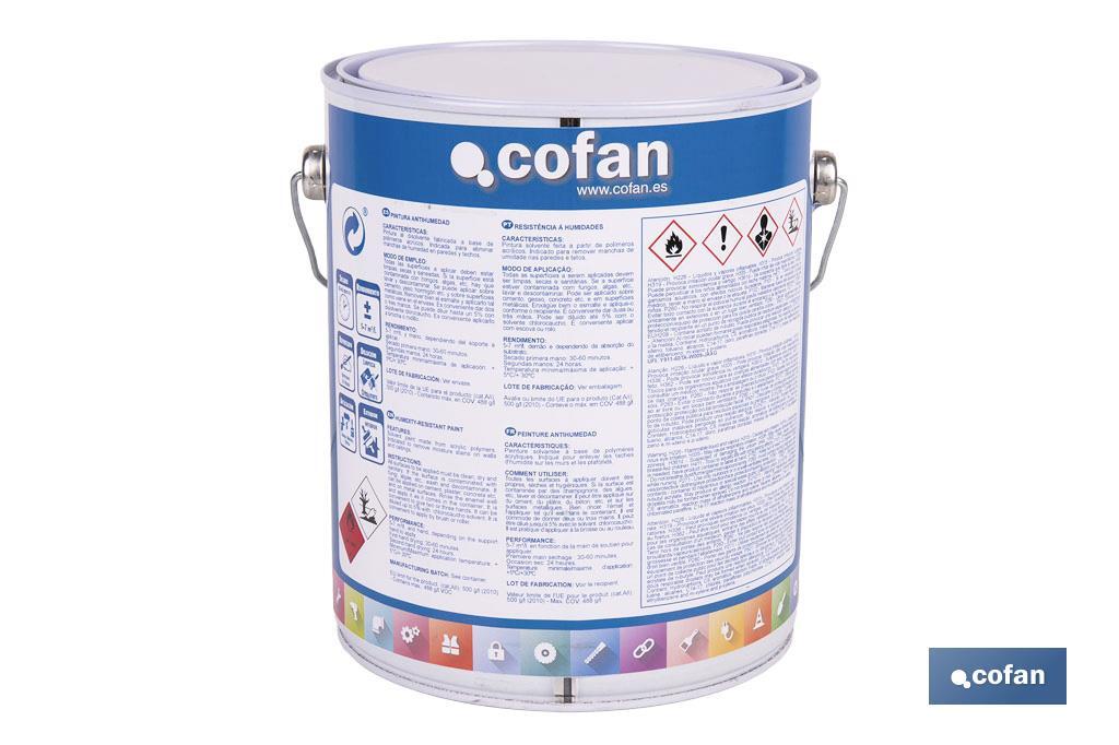 PINTURA ANTIHUMEDAD SINTÉTICA (4 L)  "BLANCO SATINADO"